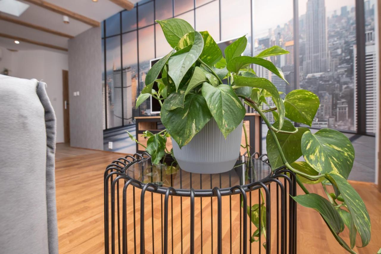 Apartament Mikolowska 2 กลีวิตเซ ภายนอก รูปภาพ
